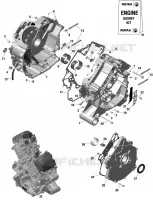 01- ROTAX - CARTER