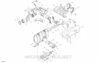 Motor - UITLAATSYSTEEM