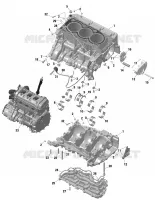 CARTERDELEN