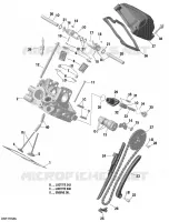 Cilinderkop, achter