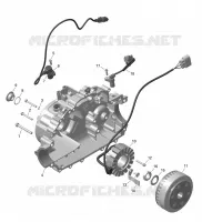 01- ROTAX - MAGNETO AND ELEKTRISCH HARNAS STARTER