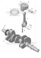 KRUKAS / ZUIGER