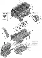 Motor - CARTERDELEN