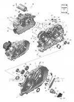 01- ROTAX - CARTER - 2