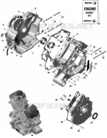 CARTERDELEN