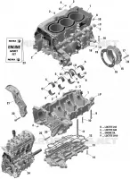 Motor - CARTERDELEN