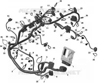 KABELBOOM EN ELEKTRONISCHE MODULE