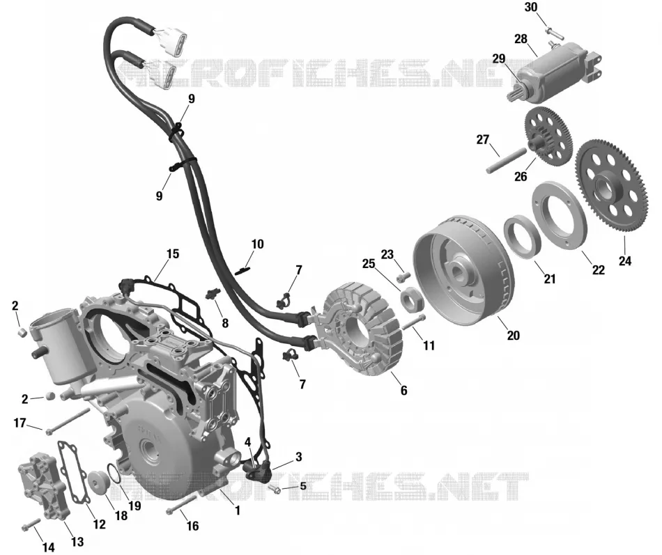 01- ROTAX - MAGNETO AND ELEKTRISCH HARNAS STARTER