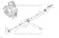04- DRIVE - FRONT - DIFFERENTIAL PARTS