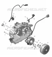 01- ROTAX - MAGNETO AND ELEKTRISCH HARNAS STARTER