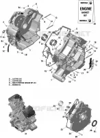 CARTERDELEN