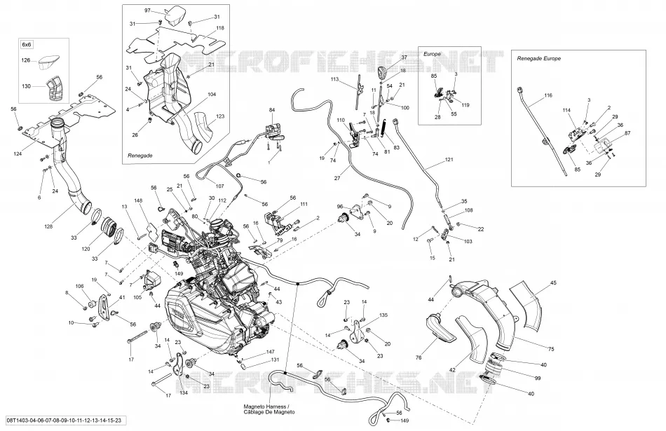 Motor