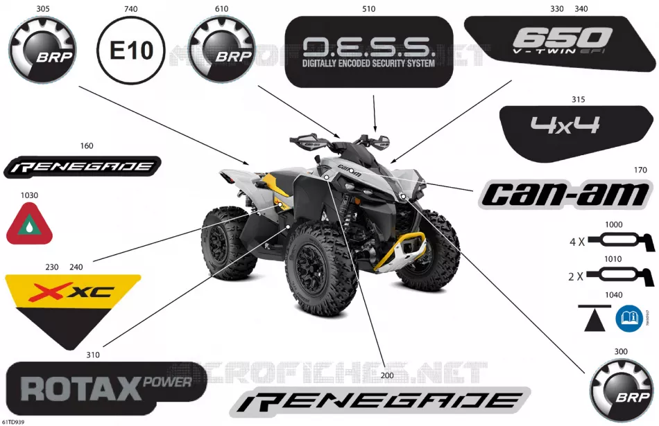 07- BODY - FEATURE DECALS